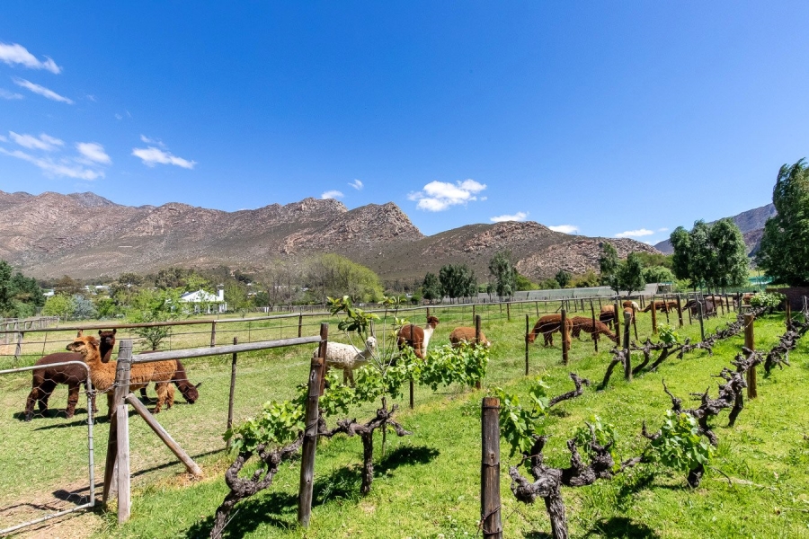 Commercial Property for Sale in Montagu Western Cape